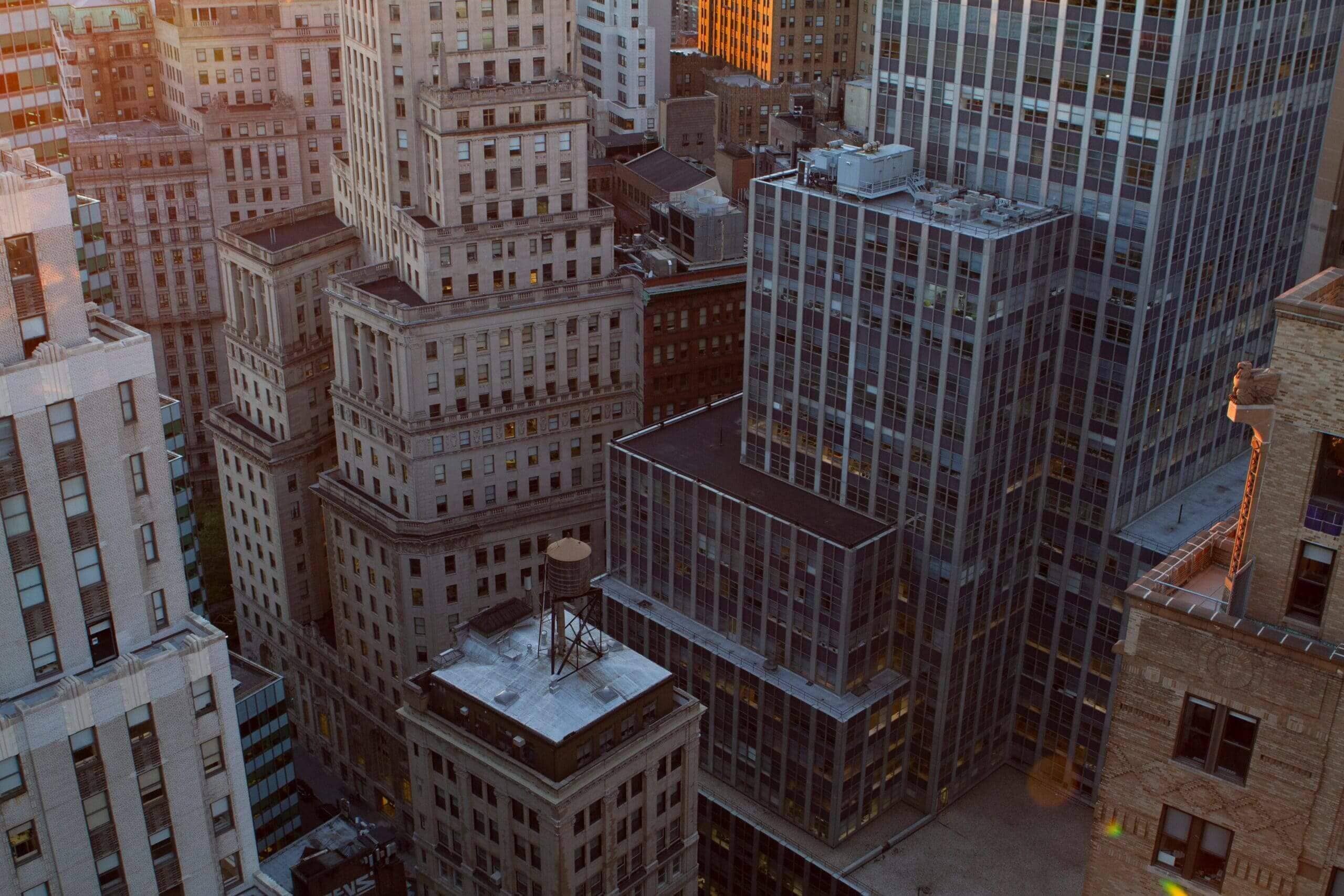 Organizational Structure